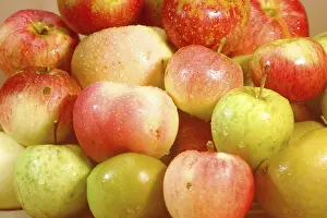 Nature Background Images Stampe: Diffrent apple sorts