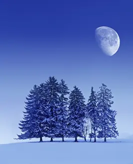 Bavaria Winter Landscape Photography Stampe: Digital Composing, winter landscape