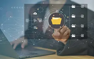 Document Management System Stampe: Document Management System (DMS)