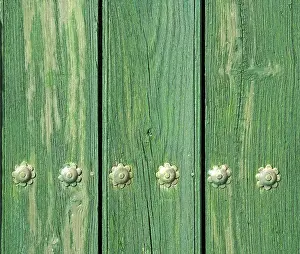 Deserted Wooden Door Stampe: Door detail