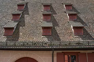 Uninhabited German Buildings Stampe: Dormer windows on the former barn
