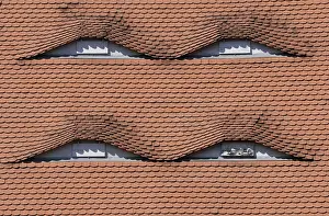 Architettura A Scandole Stampe: Dormers