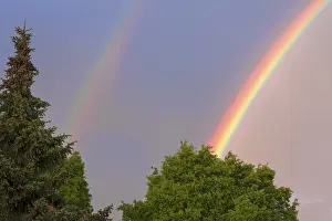 Southern Germany Weather Phenomenon Stampe: Double rainbow, partial view, with trees