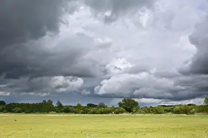 Cloud Formations Germany Stampe: Dramatic cloud formations over a vast green meadow
