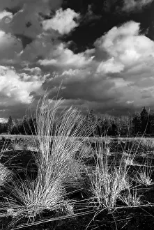 Overcast Cloudy Skies Europe Stampe: Dramatic clouds forming over a former peat bog
