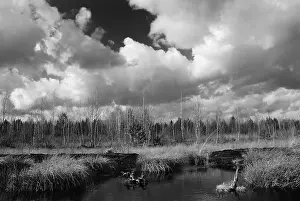 Cloudy Atmospheric Mood Stampe: Dramatic clouds forming over a former peat bog