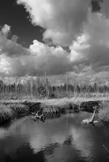 Cloudy Atmospheric Mood Stampe: Dramatic clouds forming over a former peat bog
