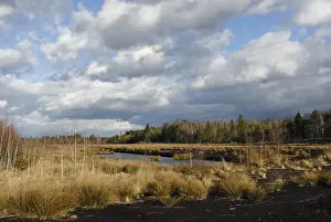 Peat Bog Landscape Stampe: Dramatic clouds forming over a former peat bog