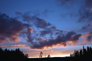European Cloudy Skies Stampe: Dramatic clouds at sunset over pine trees and forests