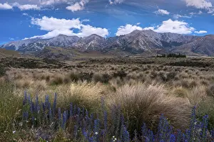 Dramatic Cloudscape Photography Stampe: Dramatic cloudscape, mountain landscape and tussock grass