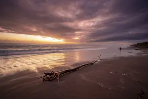 Deserted Sandy Beach Scene Stampe: Dramatic cloudy sky at sunset, tree trunk on the beach