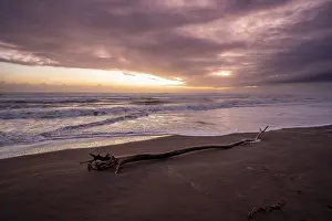 Deserted Beach Evening Sun Stampe: Dramatic cloudy sky at sunset, tree trunk on the beach