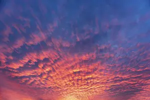 Dramatic Evening Sky Stampe: Dramatic evening sky with red clouds after sunset