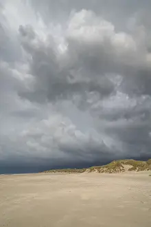 Deserted Sandy Ocean Beach Stampe: Dramatic storm clouds over beach and dunes