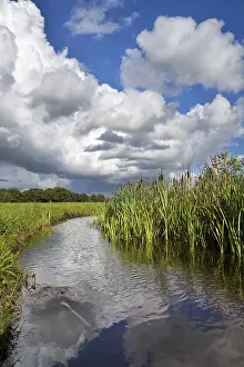 Gloomy Deserted Landscape Stampe: Dramatic stormy sky reflected in river