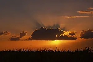 Mauritius Sunset Stampe: Dramatic sunset behind clouds at Chebel