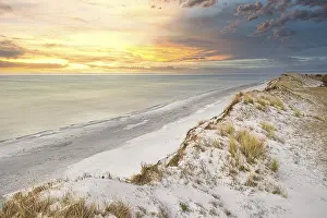 Dramatic German Landscape Stampe: Dramatic sunset at the high dune on the darss