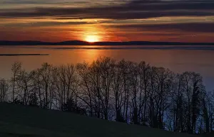 Dramatic Lake Scenery Stampe: Dramatic sunset on the lake, Bregenz
