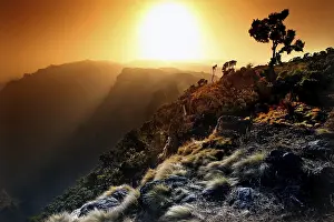 Atmospheric Landscapes Stampe: Dramatic sunset over a mountain landscape with tree