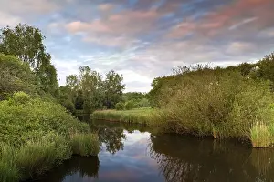 Blurred Motion Photography Stampe: Dramatic sunset over river between trees