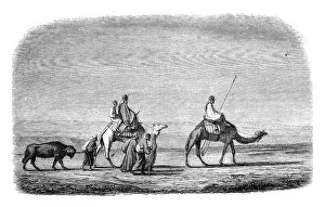 Vintage Styled Depictions Stampe: Drawing by Marilhat, for after his chart sets