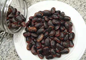 Grocery Store Vegetables Stampe: Dried beans