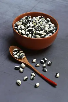 Dried Beans Stampe: Dried beans in shell with spoon