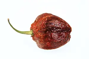 Uninhabited Garden Scenes Stampe: Dried chilli fruit