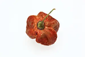 Uninhabited Landscapes Stampe: Dried chilli fruit