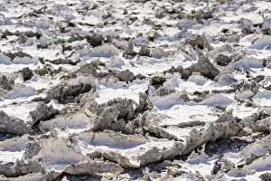 Namibia National Parks Stampe: Dried mud patterns with cracks on the ground