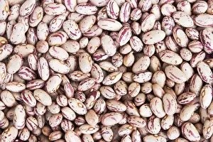 Close Up Bean Images Stampe: Dried patterned beans
