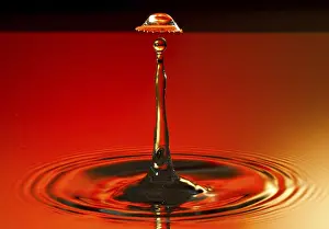 Plain Red Background Image Stampe: Drop on drop on red background UFO version