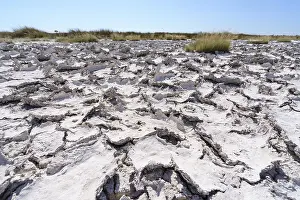 Etosha National Park Namibia Stampe: Drought mud patterns with cracks