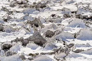 Etosha National Park Namibia Stampe: Drought mud patterns with cracks on the ground