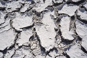 Etosha National Park Namibia Stampe: Drought mud patterns with cracks on the ground