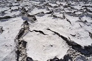 Etosha National Park Namibia Stampe: Drought mud patterns with cracks on the ground
