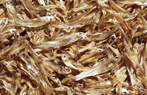Dried Fish Stampe: Dry fish