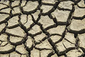 Northern German Coastline Stampe: Dry mudflat, torn up mudflat bottom
