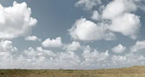Deserted Lighthouse Building Stampe: Dune landscape with lighthouse at Ellenbogen