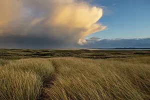 Dark Cloudy Skies Stampe: Dune Landscape with Thundercloud