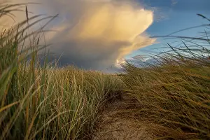 German Landscape Photo Stampe: Dune Landscape with Thundercloud