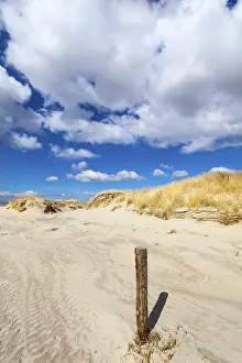 Sandy Ocean Beach Scene Stampe: In front of the dunes