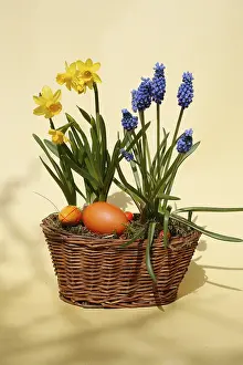 Spring Flowers Arrangement Stampe: Easter basket with easter eggs