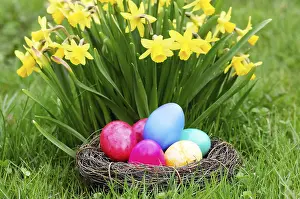 Springtime Landscape Photography Stampe: Easter, Easter eggs, Spring, Spring meadow