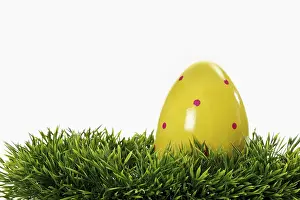 Empty Studio Background Photo Stampe: Easter egg on grass
