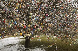 Traditional German Easter Eggs Stampe: Easter egg tree, Germany