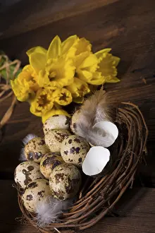 Spring Awakening Flowers Stampe: Easter eggs and daffodils