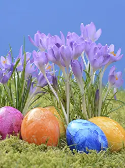 Early Spring Blooms Stampe: Easter eggs, Easter egg, eggs, Easter