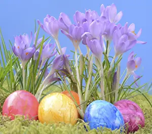 Easter Eggs Stampe: Easter eggs, Easter egg, eggs, Easter