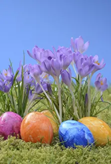 Spring Flowers Stampe: Easter eggs, Easter egg, eggs, Easter